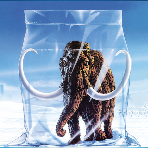 pesce rosso in sacchetto